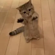 ♡R♡の画像