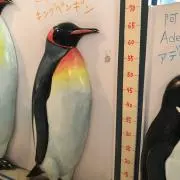 Kinaco＊の画像