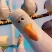 まいんの画像