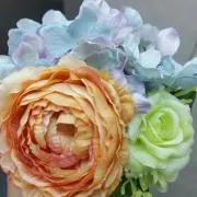 iroの画像
