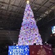 nicoの画像