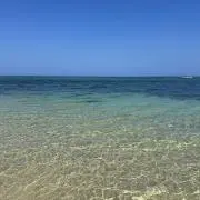 ✨の画像