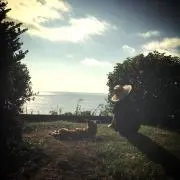 sun