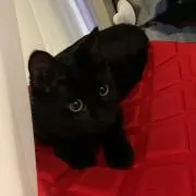 コウちゃん