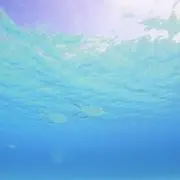 ゆうきの画像