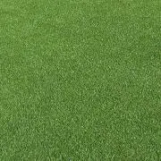 DWAの画像