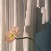 lovelylovelyの画像