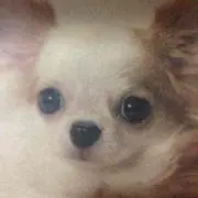 ピンキー