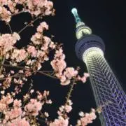 きたかみの画像