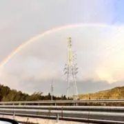 すいかの画像