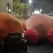 きゃんたんの画像