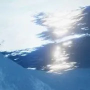 たぴの画像