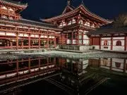 カナリヤの画像