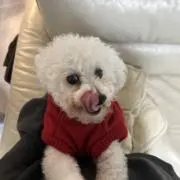 璃の画像