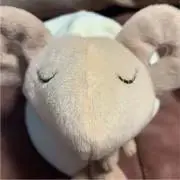 むぎの画像