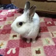 たむらたつや