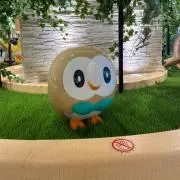 こけちゃんの画像