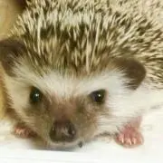 たけちゃん
