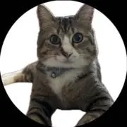 michi / 要プロフ確認の画像