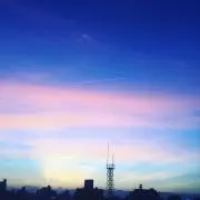 しろくま