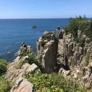 Pepeの画像