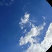 バビの画像