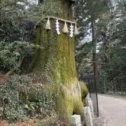 この画像