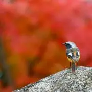 Sth700※4/4〜4/11対応不能の画像