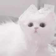 ゆら‪の画像