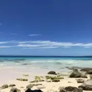 ひなみもちの画像