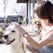 えり【プロフ必読】の画像