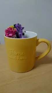 きいろの画像