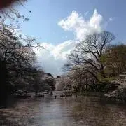 ⭐️1640の画像