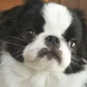 meの画像
