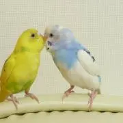 む〜の画像