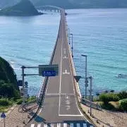 かぼちゃの画像