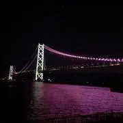フィッシングの画像