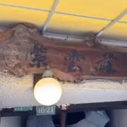SUGI-SANの画像