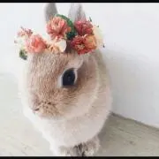 あぃchanの画像
