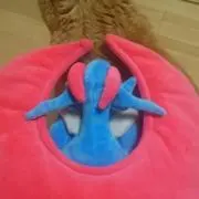 たいたいたい