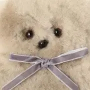 ちゃんドラの画像