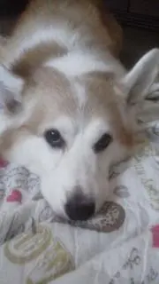 らーくん(*^^*)