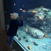 おまつ