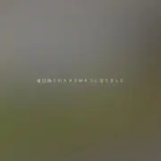 デュクシ