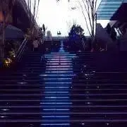 Amysの画像