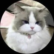 ‪rの画像