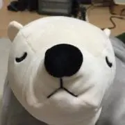 ネムネム【匿名配送のみ】の画像