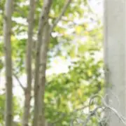 mayu3588の画像