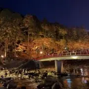 ベルの画像