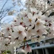 スタチュオブリバティの画像